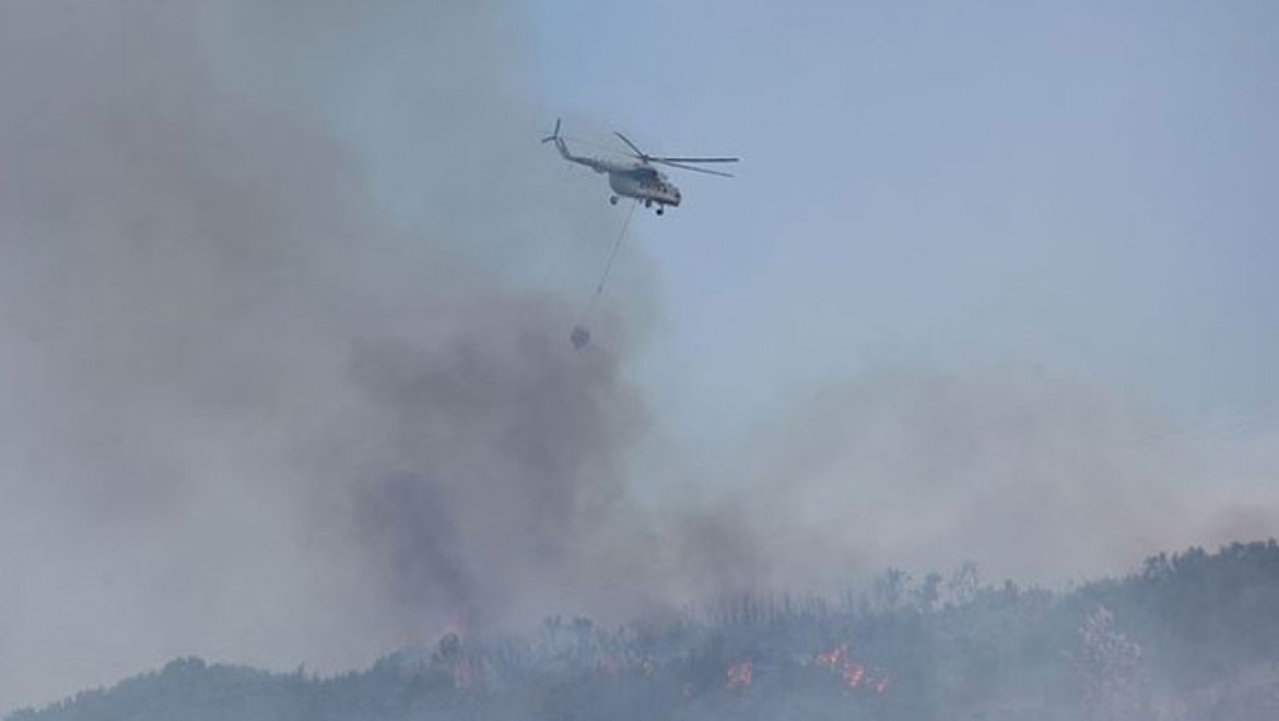 Aydın'da orman yangını çıktı
