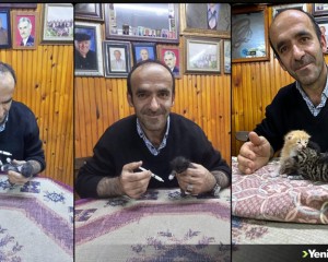 Trabzon'da anneleri telef olan 3 kedi yavrusuna yayla sakini sahip çıktı