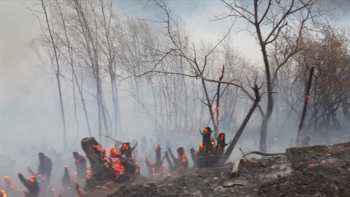 İzmir'de dağlık alanda yangın çıktı