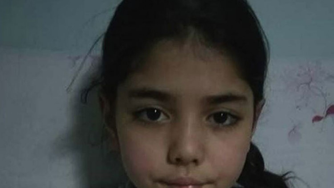 Giresun'da yaylada kaybolan kız çocuğu sağ bulundu