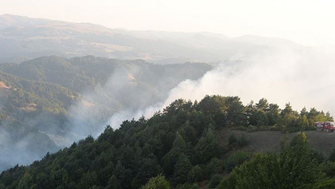 Tokat'taki orman yangını kontrol altına alındı