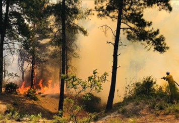 Hatay'da Amanos Dağları eteklerinde orman yangını çıktı