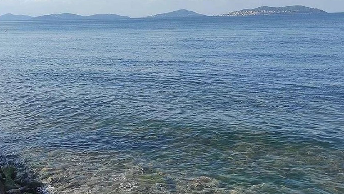 Türkiye Çevre Haftası "Temiz Deniz, Temiz Dünya" temasıyla kutlanacak