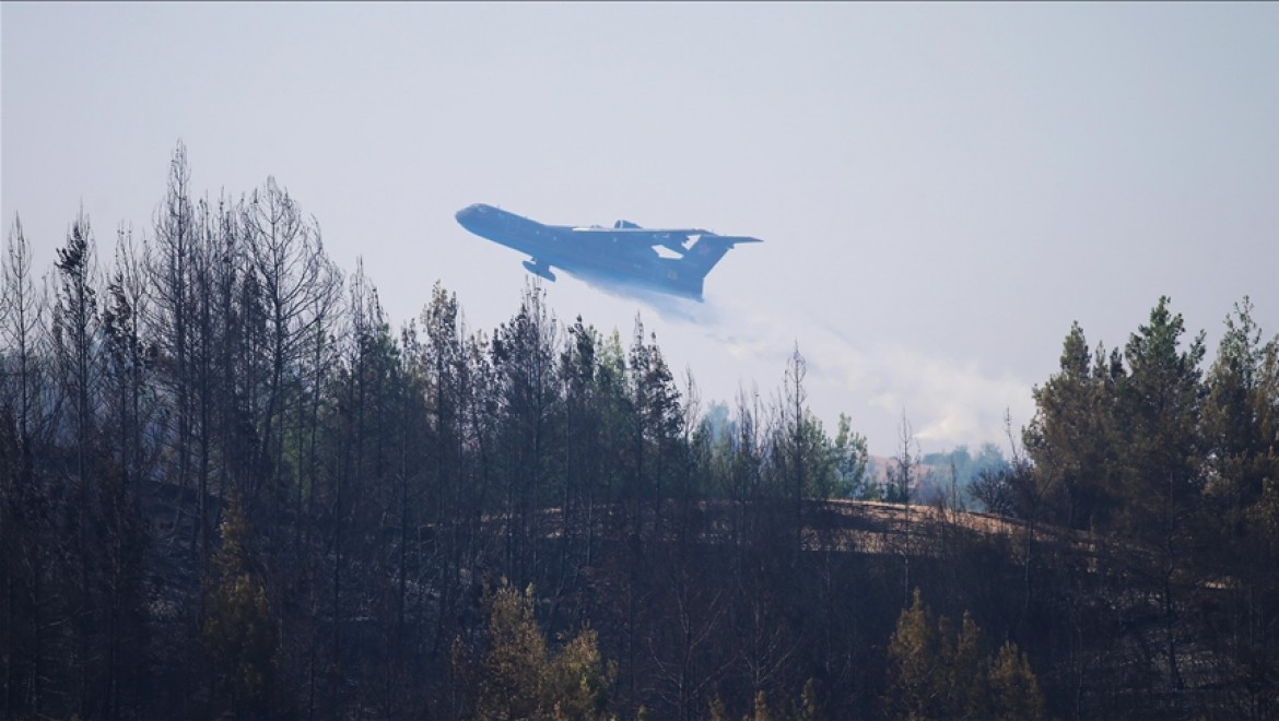 Adana Aladağ'daki orman yangını kontrol altına alındı