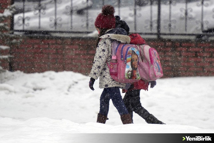 Ardahan'da kar ve tipi nedeniyle eğitime ara verildi