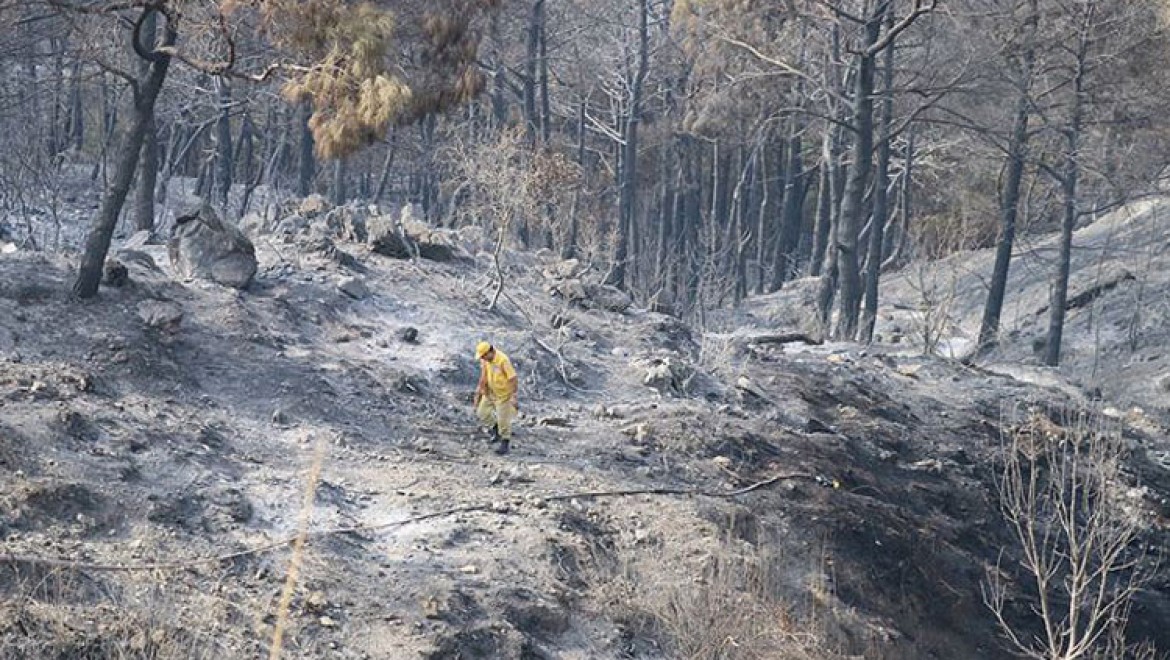 Hatay'daki orman yangınında soğutma çalışmaları tamamlandı