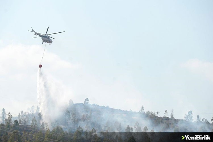 Türkiye ve Azerbaycan orman yangınlarına karşı iş birliği yapacak