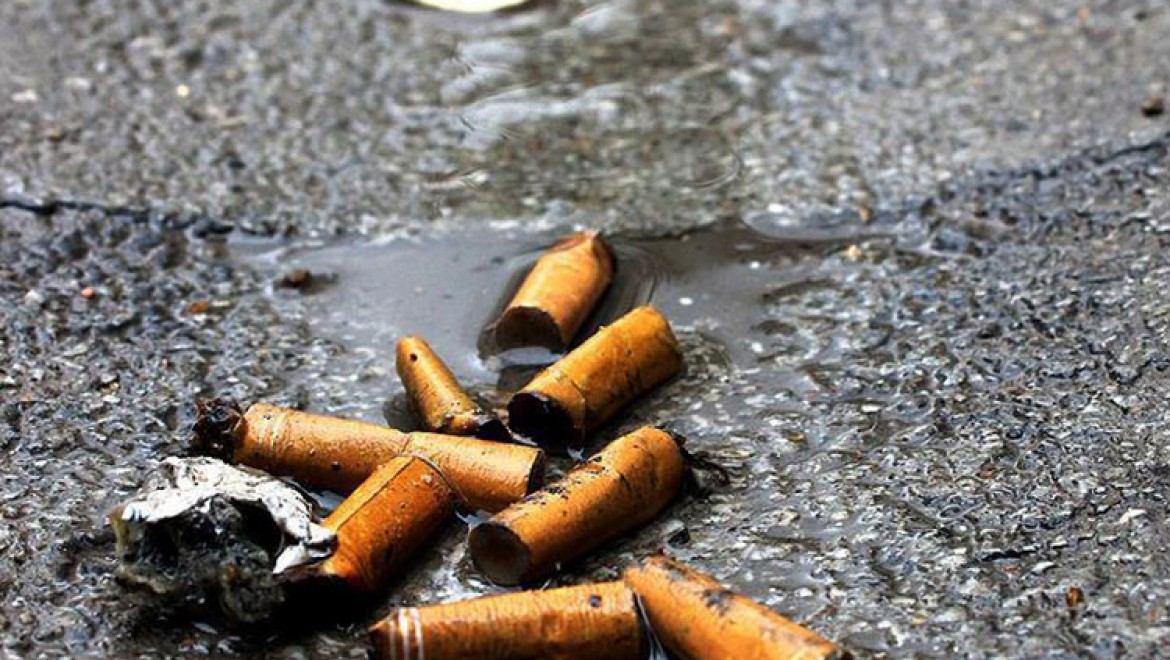 'Sigara çevre kirliliğinin en büyük nedeni'