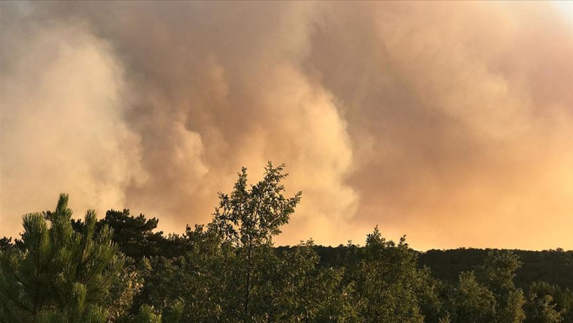 Eskişehir'de orman yangını
