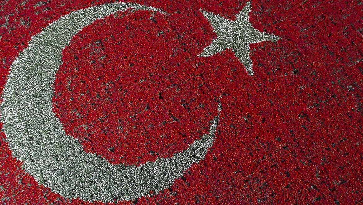 168 Bin Lale İle Oluşturulan Türk Bayrağı Dünya Rekoru Getirdi