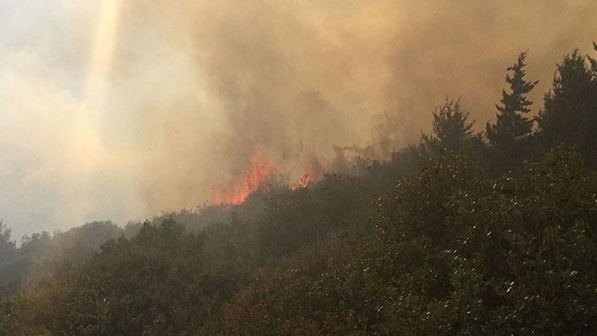 Amanos Dağları'nda Orman Yangını