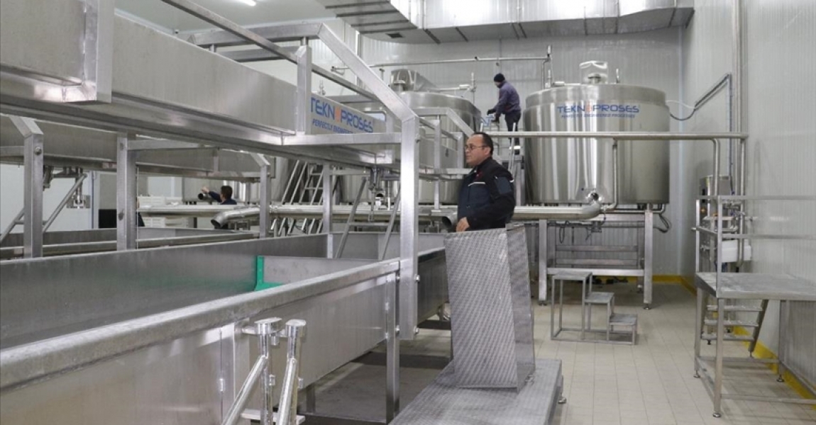 Et ve Süt Kurumu, ilk süt tesisini Yozgat'ta hizmete açıyor