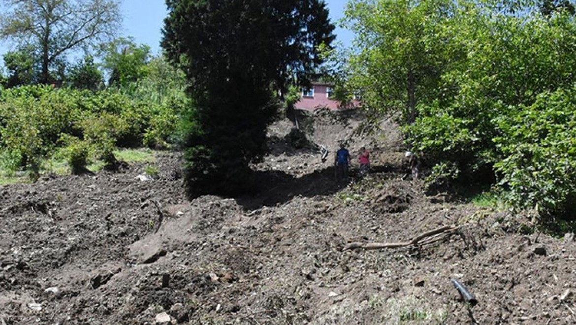 Düzce'deki sel felaketi fındık bahçelerine de zarar verdi