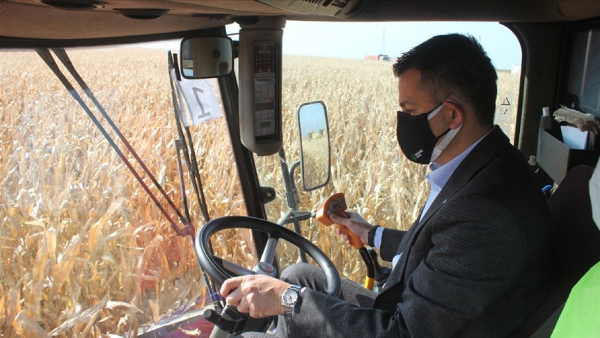 Tarım ve Orman Bakanı Bekir Pakdemirli mısır hasadı ve buğday ekimi yaptı