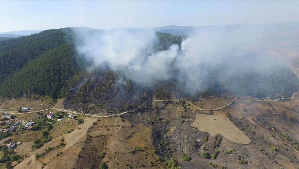 Kastamonu'da çıkan orman yangınına müdahale ediliyor