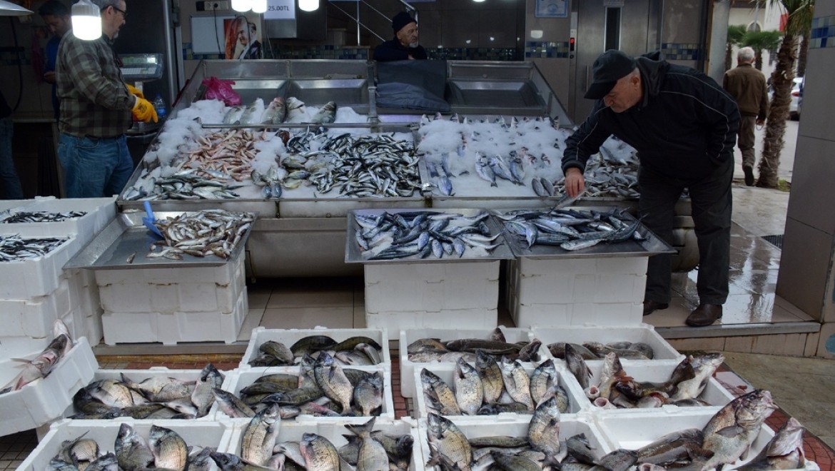 Sinop'ta balık tezgahları şenlendi