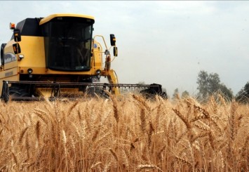 İran: Karadeniz'de oluşturulacak tahıl koridoruna katkı sağlamaya hazırız