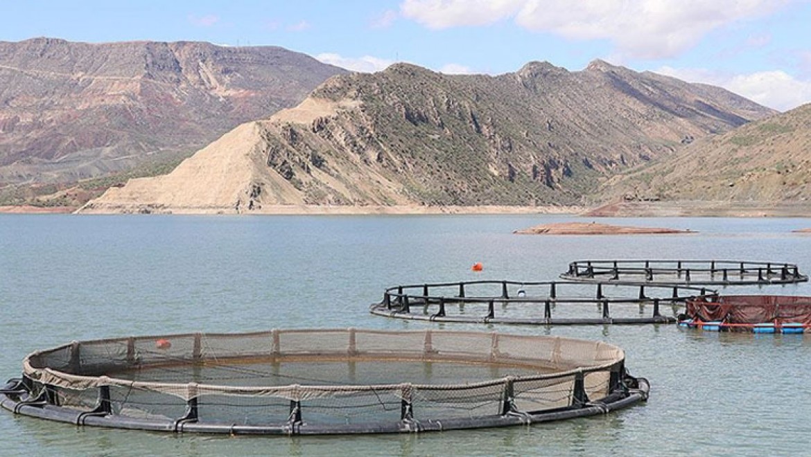 Baraj göllerindeki balık yetiştiriciliğinde ekolojik durum dikkate alınacak