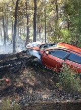 Çanakkale'de kaza yapan araçta başlayıp ormana sıçrayan yangın kontrol altına alındı