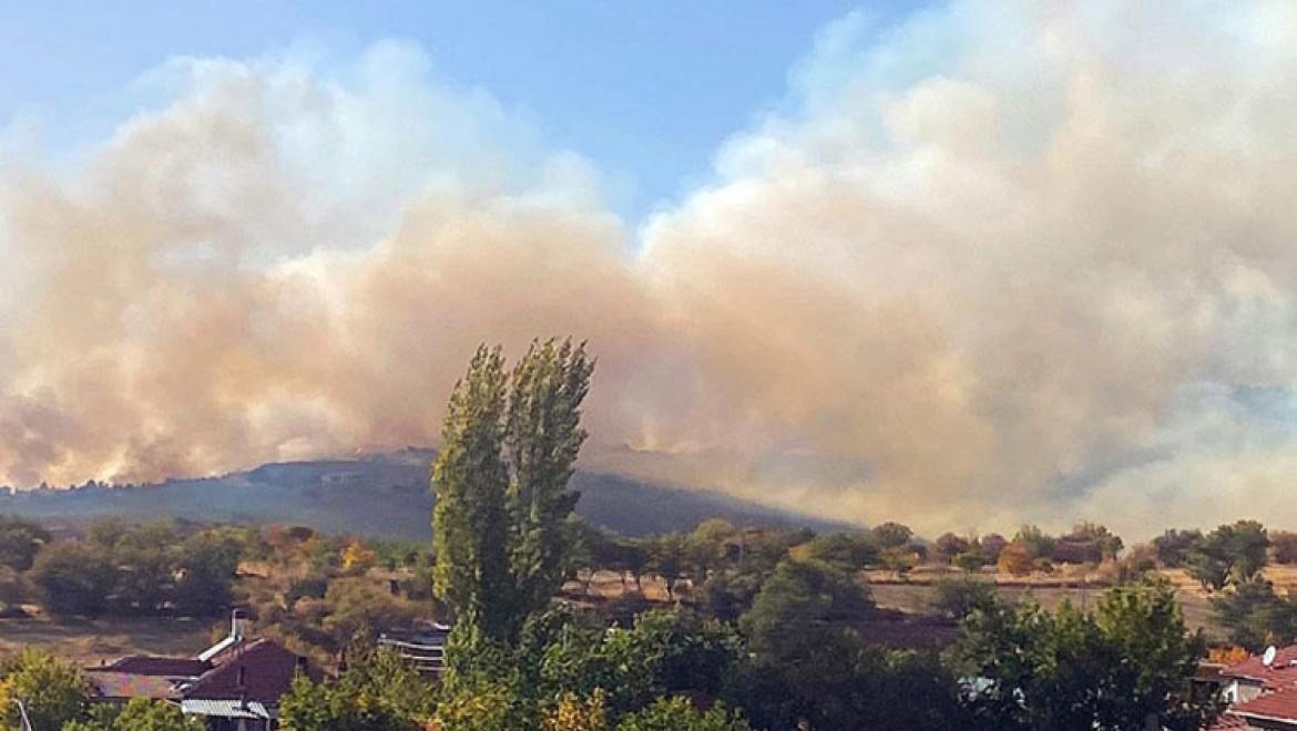 Eskişehir'de çıkan orman yangınına müdahale ediliyor