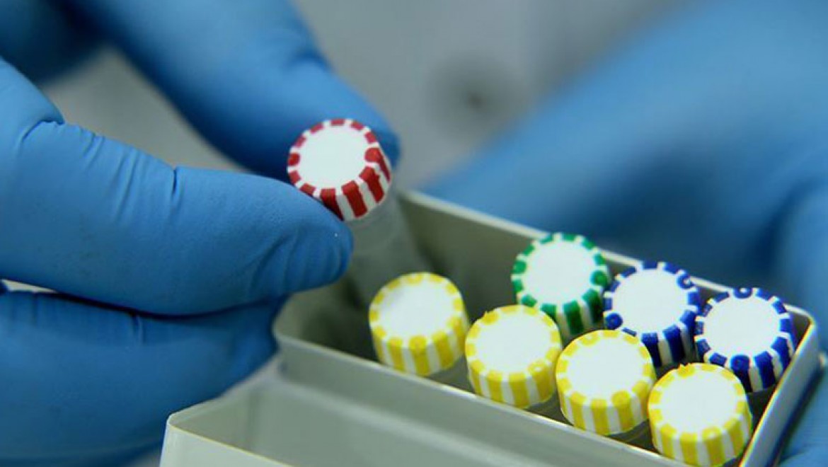 Arap ülkelerinde koronavirüs kaynaklı ölümler ve vaka sayısı artıyor
