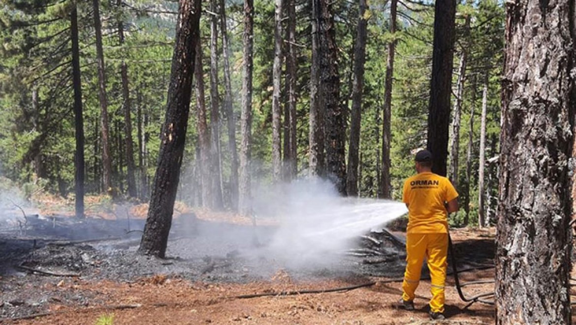 Adana'da çıkan iki orman yangını kontrol altına alındı