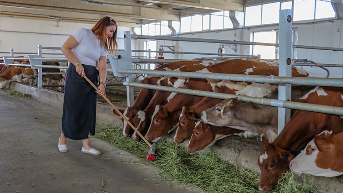 Vanlı ziraat mühendisi, TKDK desteğiyle kurduğu çiftlikte günlük 500 litre süt üretiyor