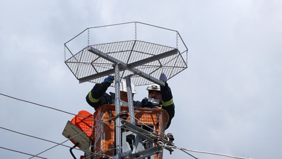 Tekirdağ'da leyleklerin akıma kapılmaması için elektrik direklerine özel platformlar kuruluyor