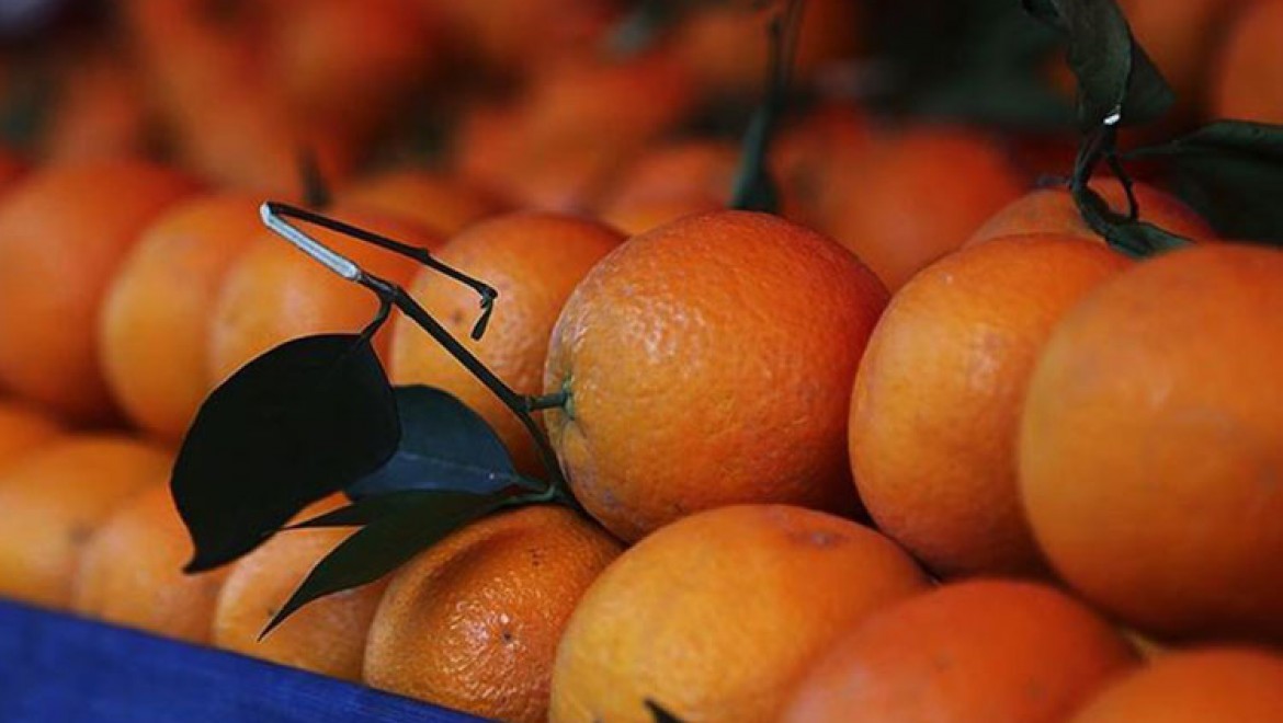 Mevsim değişikliklerinde hastalıklardan korunmak için portakal suyu tüketin
