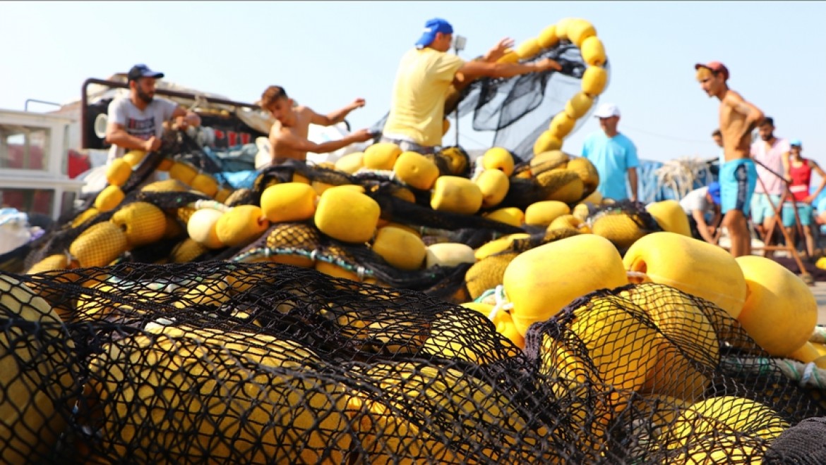 Tekirdağlı balıkçılar yeni sezonda lüfer ve palamuttan umutlu