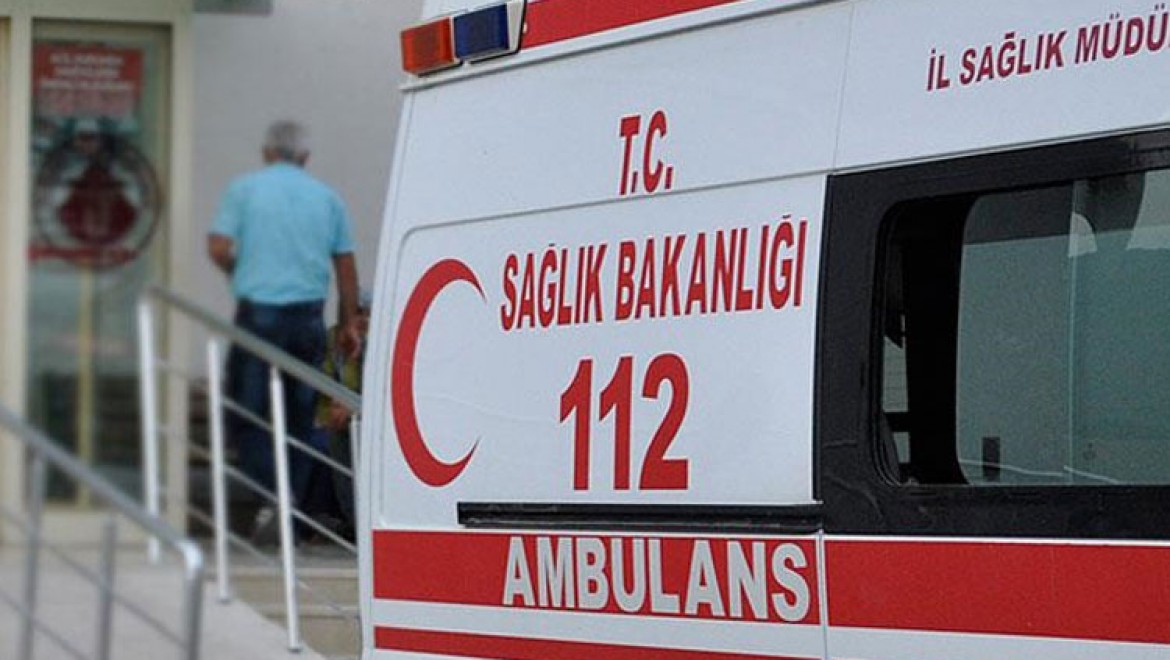 Ankara'da sokak köpeklerinin saldırısına uğrayan çocuk yaralandı