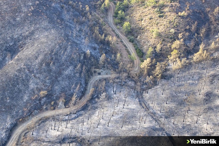 Marmaris'teki orman yangınıyla ilgili gözaltına alınan şüpheli, adliyeye sevk edildi