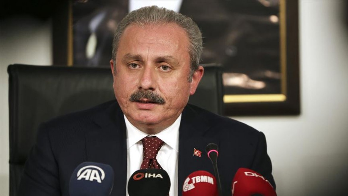 Şentop'tan HDP'li milletvekiline kınama