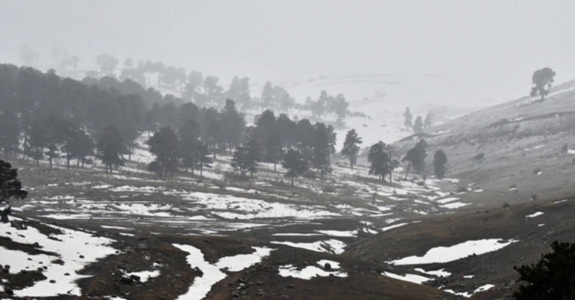 Kars'ta kar yağışı etkili oluyor