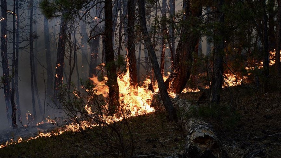 Eskişehir'deki orman yangınını söndürme çalışmaları devam ediyor