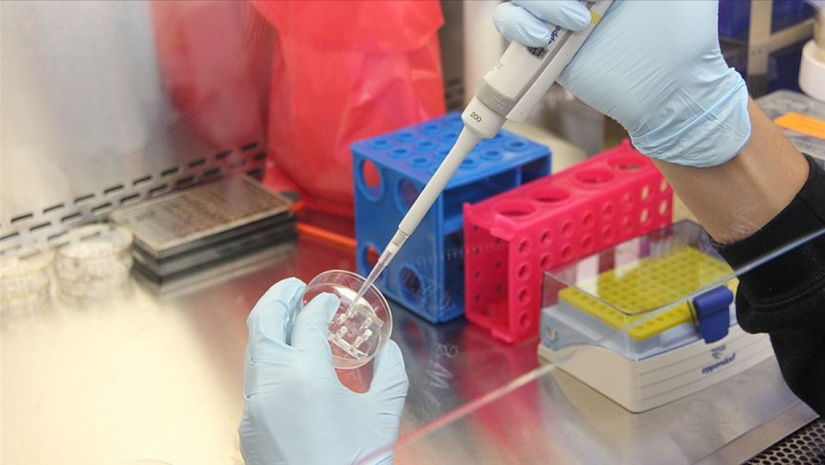 Kovid-19 tanısında en güvenilir sonucu PCR testi veriyor