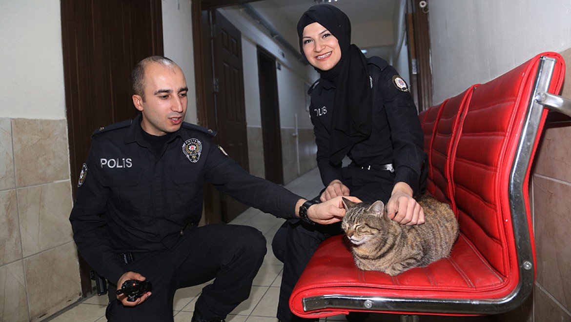 'Sevimli Patilere' Polisler Sahip Çıktı