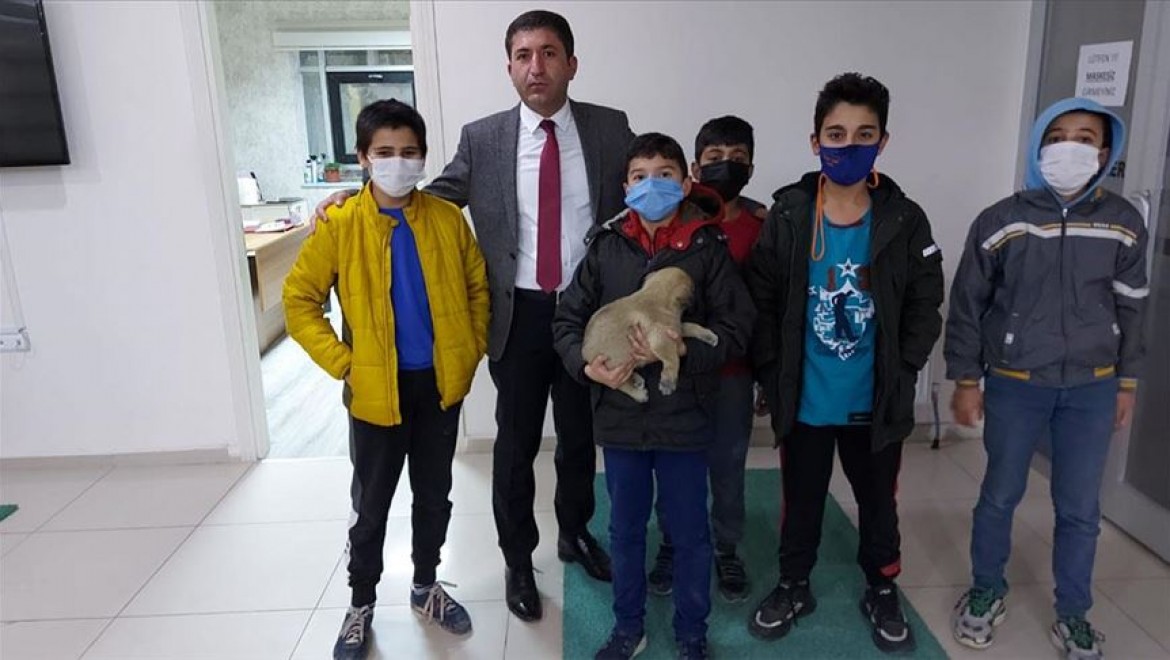 Sivas'ta çocukların yaralı köpek için verdiği çaba yürekleri ısıttı
