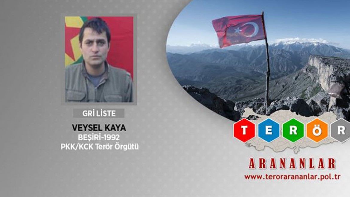 Bitlis'te etkisiz hale getirilen bir teröristin daha gri listede olduğu belirlendi