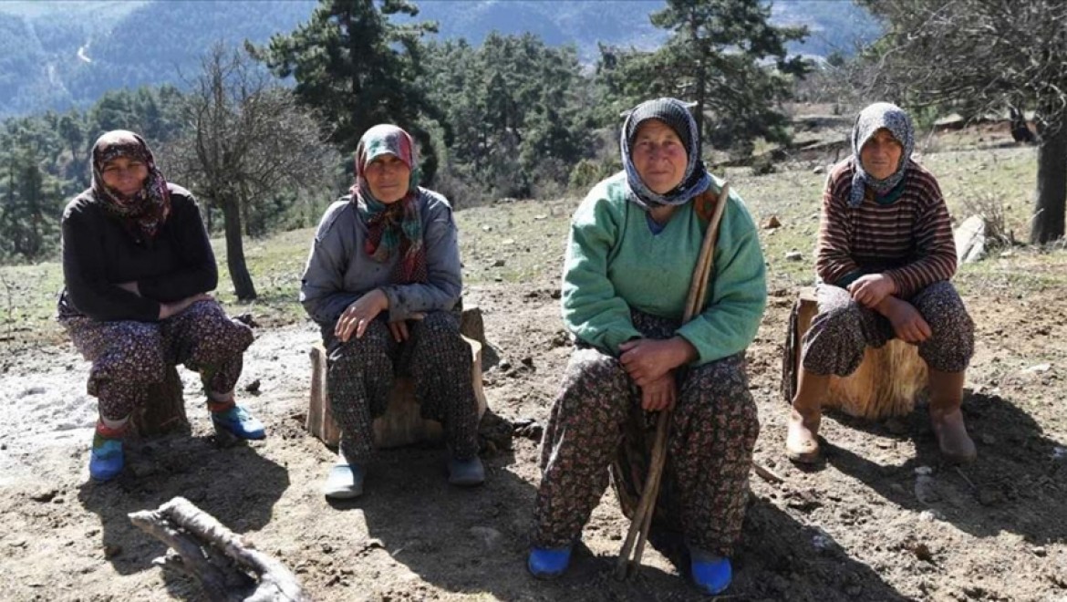 Antalya'da 11 kız kardeşli 70 yaşındaki kadının 62 yıllık çobanlık hikayesi ilgi çekiyor