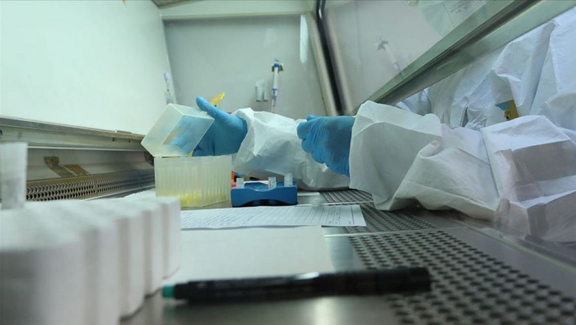 Ege Üniversitesi Kovid-19 PCR testi için yetkilendirildi