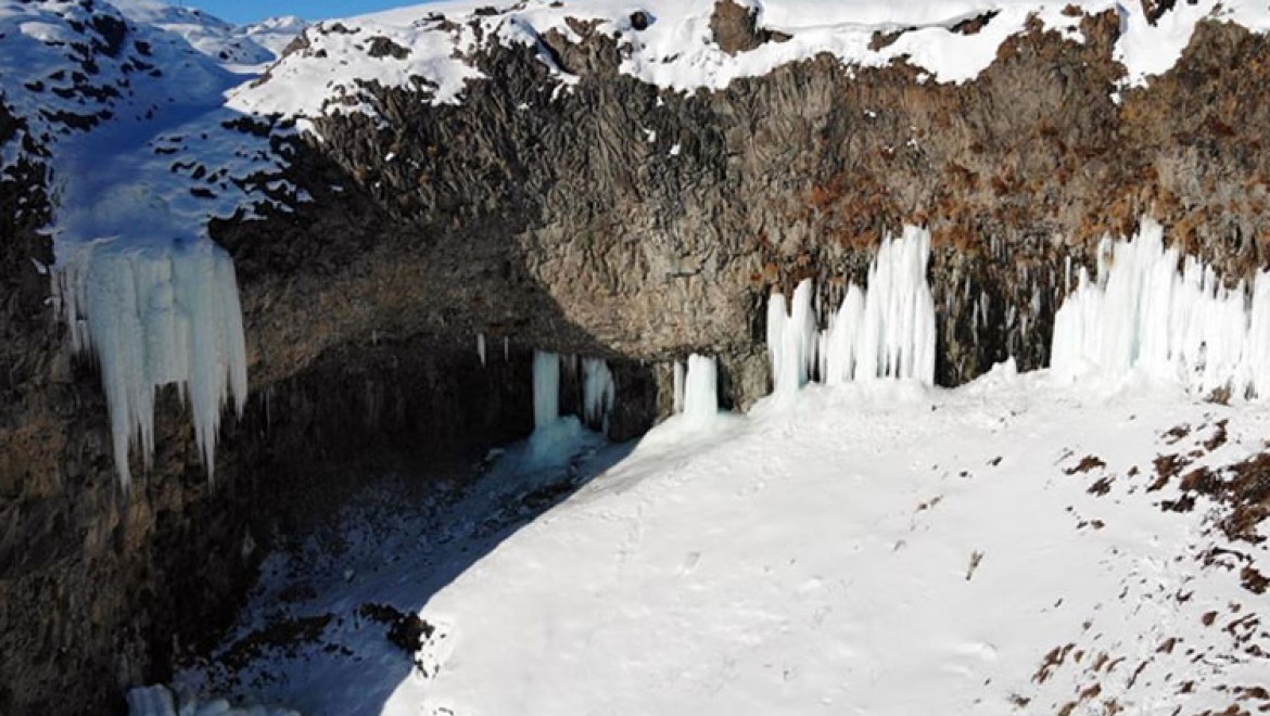 Ağrı'daki Murat Kanyonu'nda 10 metreyi bulan buz sarkıtları oluştu