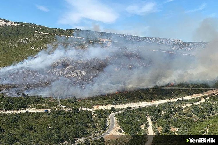 İzmir'in Urla ve Dikili ilçelerinde ormanlık alanlarda yangın çıktı