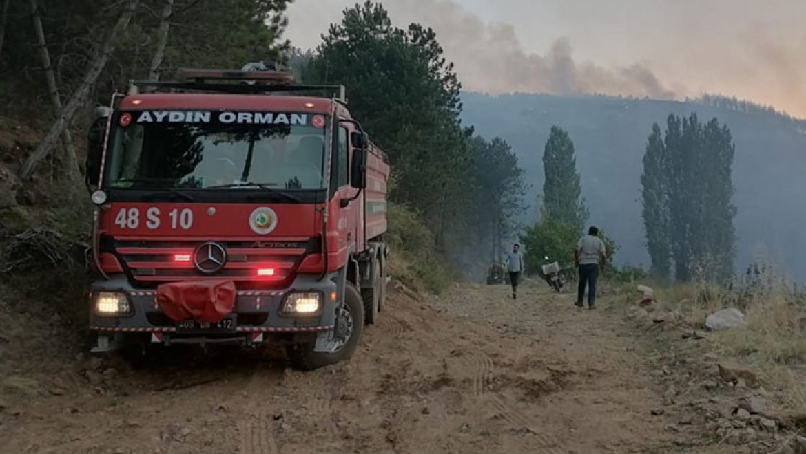 Aydın'ın Karacasu ilçesindeki orman yangınına müdahale sürüyor