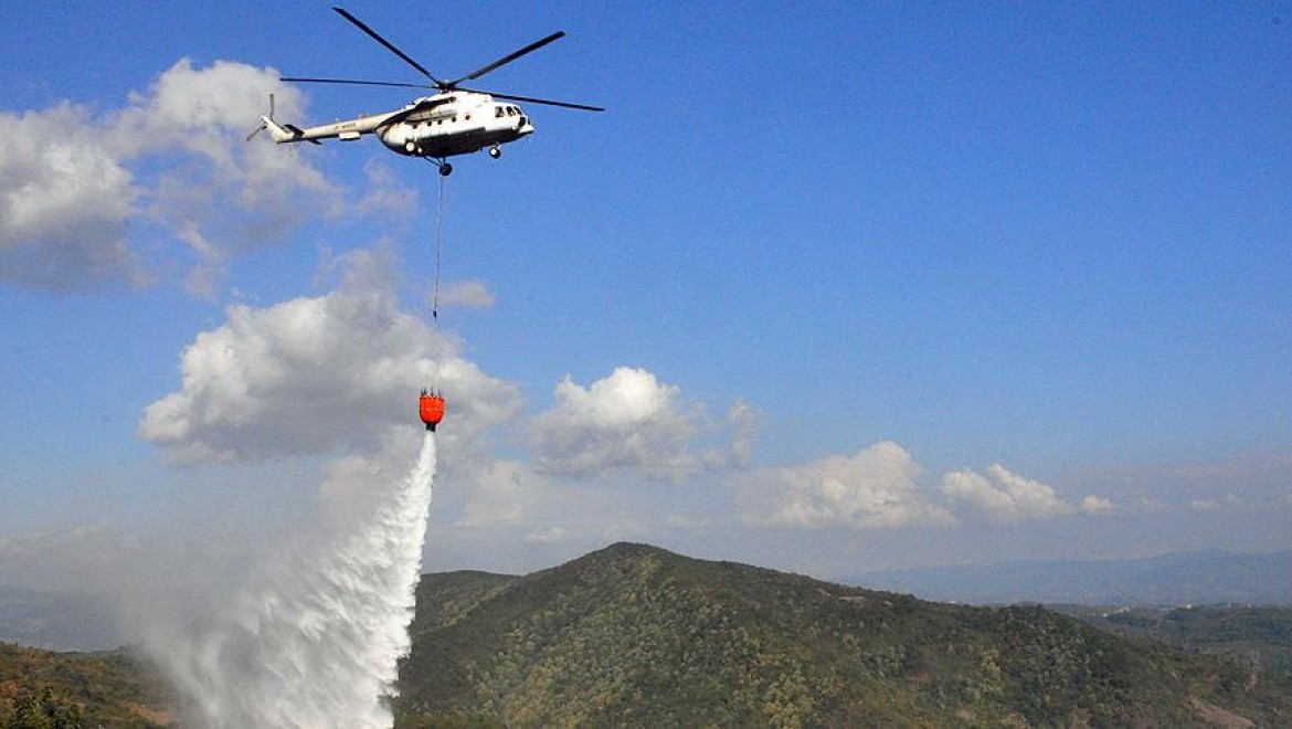 Zonguldak Ereğli'de Orman Yangını