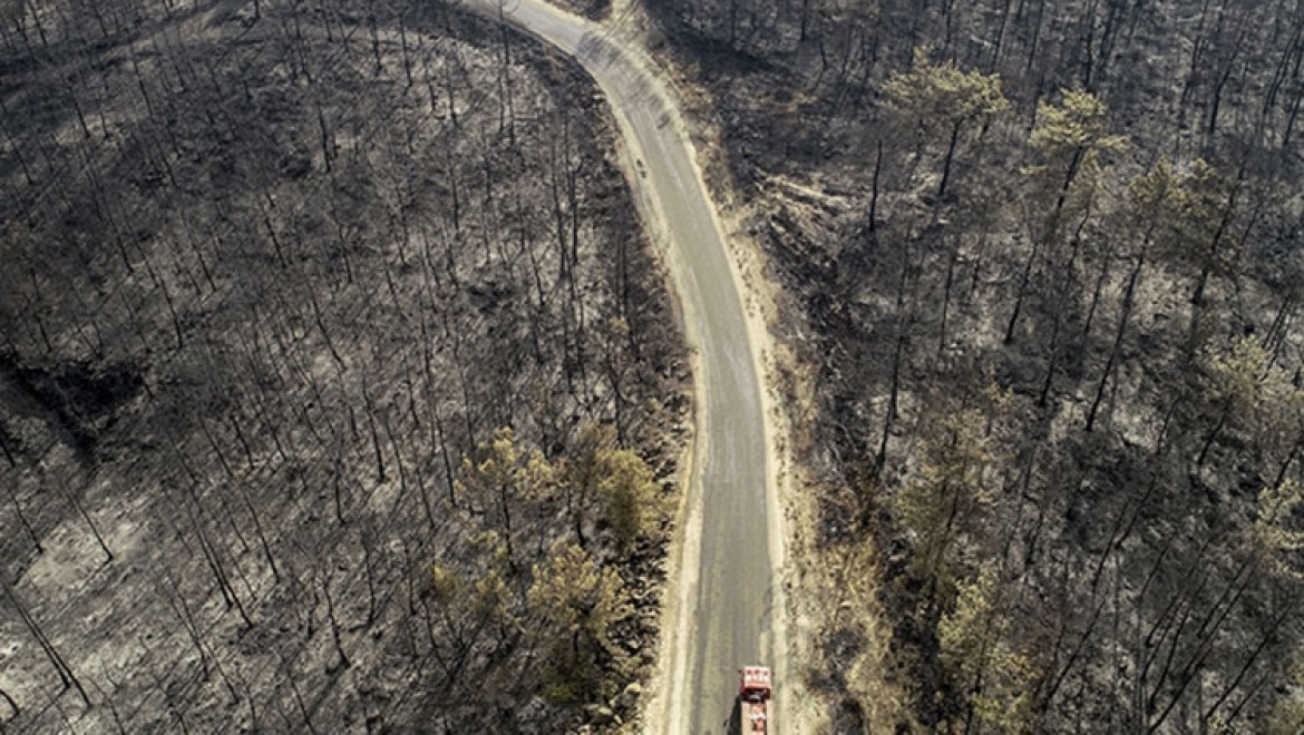 Orman yangınlarından etkilenen alanlar 'Genel Hayata Etkili Afet Bölgesi' ilan edildi