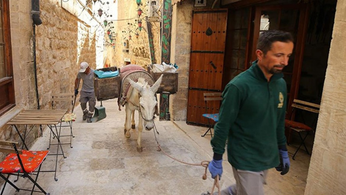 Mardin'de çöp taşıyan kadrolu eşeklerin yaz mesaisi