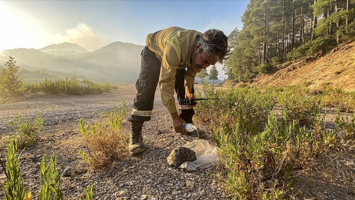 Gündoğmuş'taki yangında mahsur kalan kaplumbağayı orman işçileri kurtardı