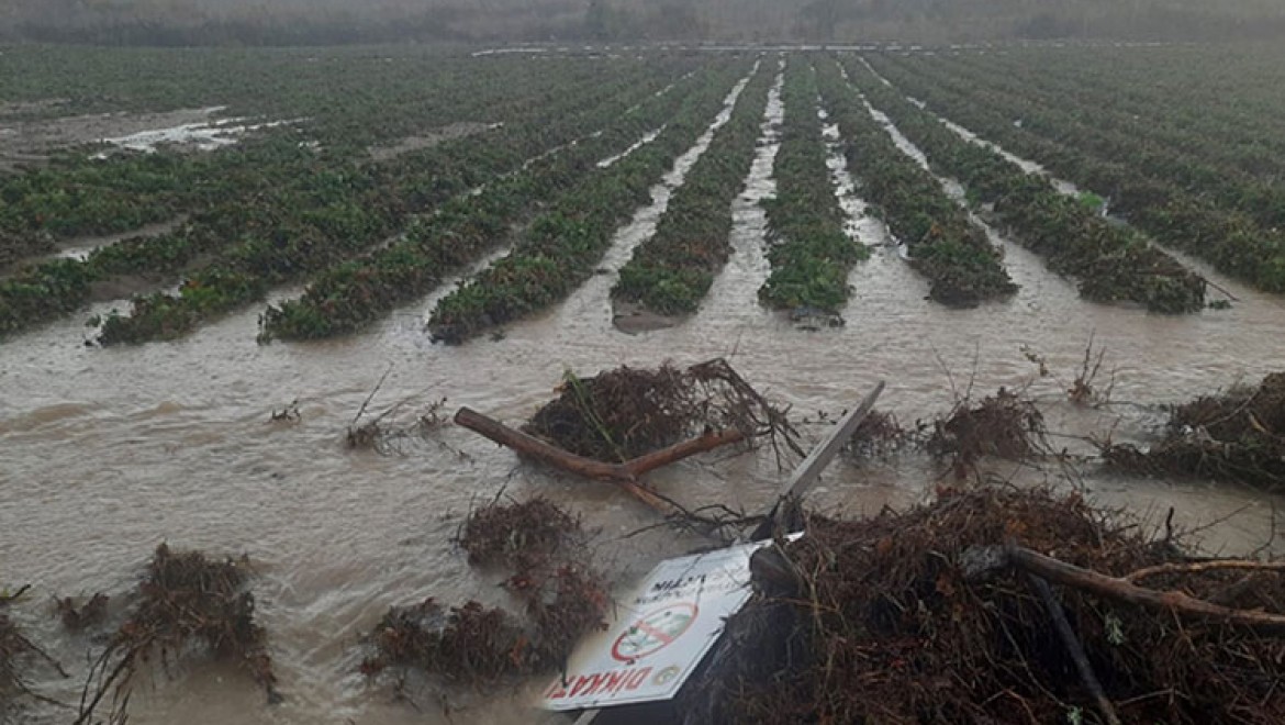 Çanakkale'deki şiddetli yağıştan 7 bin dönüme yakın tarım arazisi zarar gördü