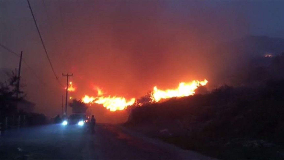 Marmara Adası'ndaki yangın kontrol altına alındı